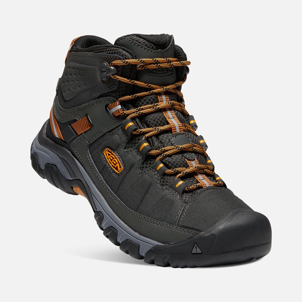 Keen Laarzen Heren Zwart/Goud - Targhee Exp Waterproof Mid - 61804-KBJZ